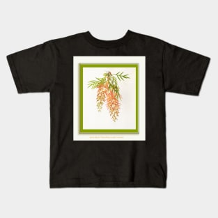 Grevillea, 'peaches and cream' Kids T-Shirt